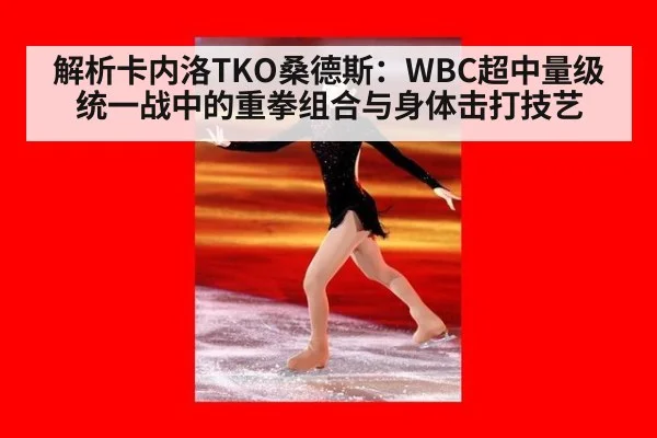 解析卡内洛TKO桑德斯：WBC超中量级统一战中的重拳组合与身体击打技艺