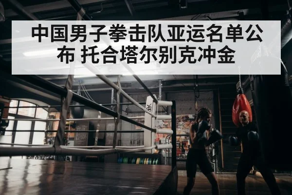 boxer training